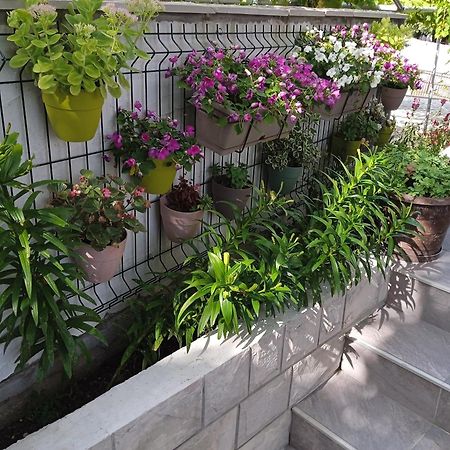 Apartment Iva Trebinje Exterior foto